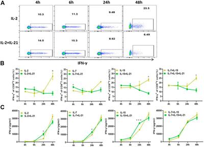 IL-21 Optimizes the CAR-T Cell Preparation Through Improving Lentivirus Mediated Transfection Efficiency of T Cells and Enhancing CAR-T Cell Cytotoxic Activities